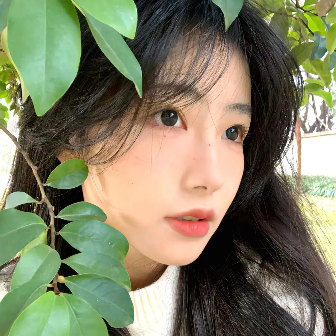 江湖篇之大佬 高清封面
